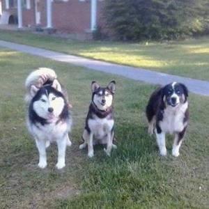 Meet your Posher, Lindsey